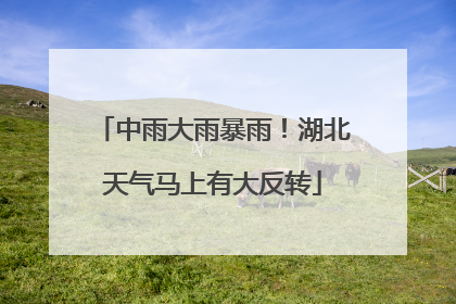 中雨大雨暴雨！湖北天气马上有大反转