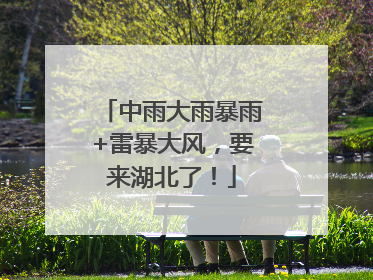 中雨大雨暴雨+雷暴大风，要来湖北了！