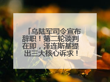 乌陆军司令宣布辞职！第二轮谈判在即，泽连斯基提出三大核心诉求！乌方透露摧毁41架俄战略轰炸机