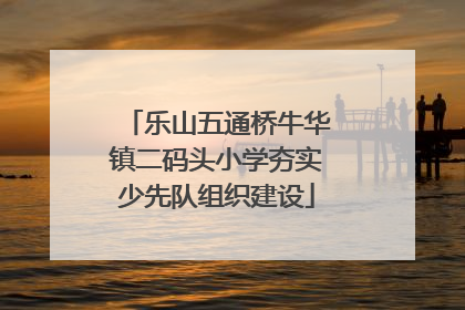 乐山五通桥牛华镇二码头小学夯实少先队组织建设