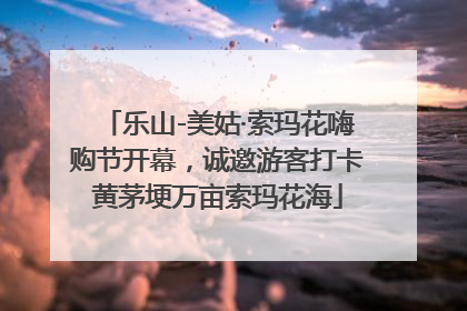 乐山-美姑·索玛花嗨购节开幕，诚邀游客打卡黄茅埂万亩索玛花海