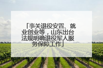 事关退役安置、就业创业等，山东出台法规明确退役军人服务保障工作