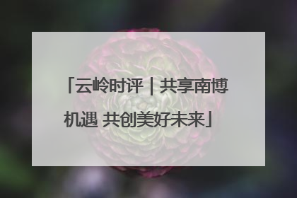 云岭时评｜共享南博机遇 共创美好未来