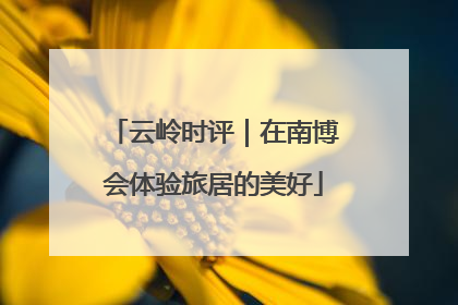 云岭时评｜在南博会体验旅居的美好