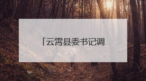 云霄县委书记调研基层党建工作
