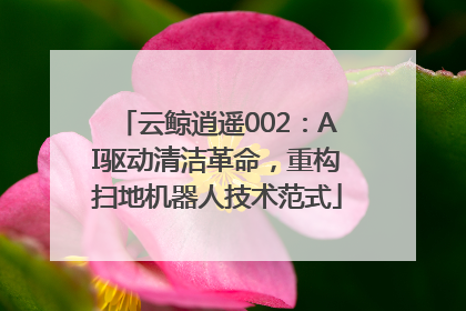 云鲸逍遥002：AI驱动清洁革命，重构扫地机器人技术范式