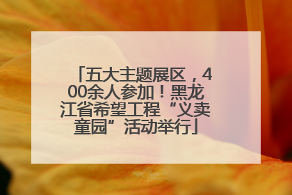 五大主题展区，400余人参加！黑龙江省希望工程“义卖童园”活动举行