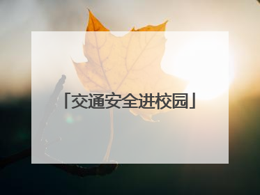 交通安全进校园