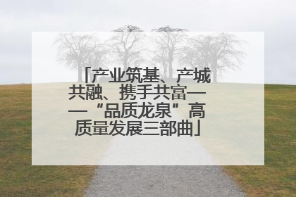 产业筑基、产城共融、携手共富——“品质龙泉”高质量发展三部曲