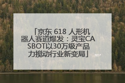 京东 618 人形机器人赛道爆发：灵宝CASBOT以30万级产品力搅动行业新变局