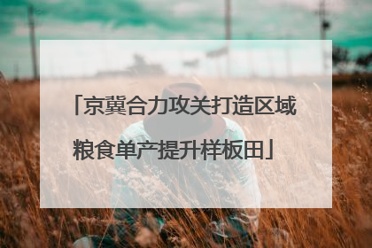 京冀合力攻关打造区域粮食单产提升样板田