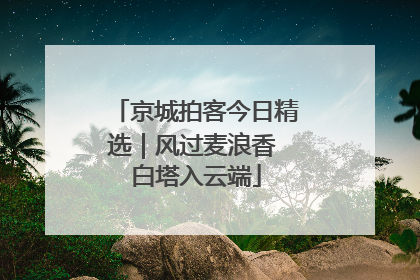 京城拍客今日精选｜风过麦浪香 白塔入云端