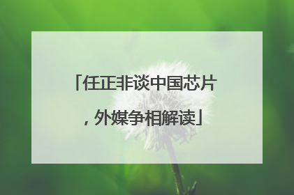 任正非谈中国芯片，外媒争相解读