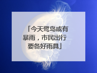 今天鹭岛或有暴雨，市民出行要备好雨具