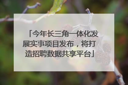 今年长三角一体化发展实事项目发布，将打造招聘数据共享平台