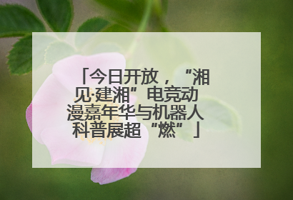 今日开放，“湘见·建湘”电竞动漫嘉年华与机器人科普展超“燃”