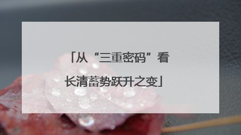 从“三重密码”看长清蓄势跃升之变