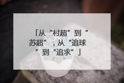从“村超”到“苏超”，从“追球”到“追求”