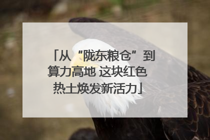 从“陇东粮仓”到算力高地 这块红色热土焕发新活力