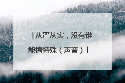 从严从实，没有谁能搞特殊（声音）