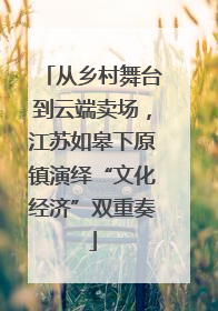 从乡村舞台到云端卖场，江苏如皋下原镇演绎“文化经济”双重奏