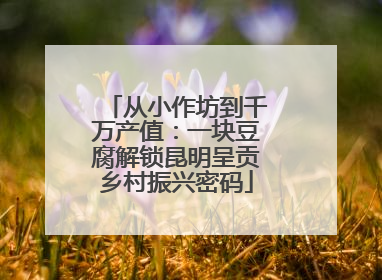 从小作坊到千万产值：一块豆腐解锁昆明呈贡乡村振兴密码
