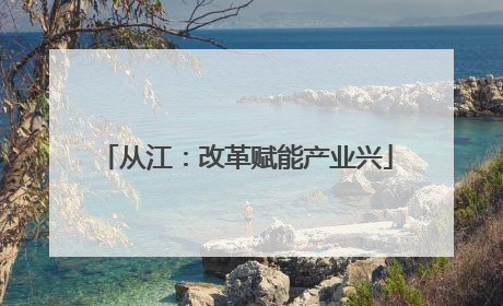从江：改革赋能产业兴