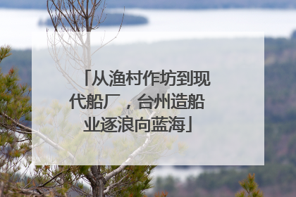 从渔村作坊到现代船厂，台州造船业逐浪向蓝海