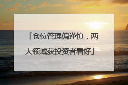 仓位管理偏谨慎，两大领域获投资者看好