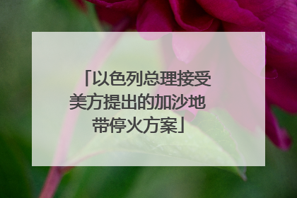 以色列总理接受美方提出的加沙地带停火方案