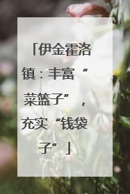 伊金霍洛镇：丰富“菜篮子”，充实“钱袋子”