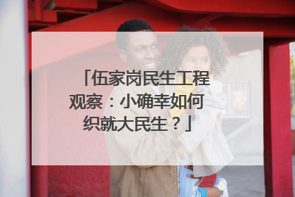 伍家岗民生工程观察：小确幸如何织就大民生？