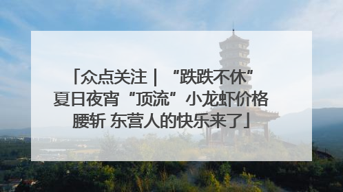 众点关注｜“跌跌不休” 夏日夜宵“顶流”小龙虾价格腰斩 东营人的快乐来了