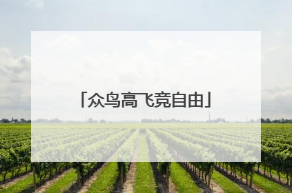 众鸟高飞竞自由