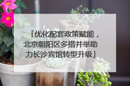 优化配套政策赋能，北京朝阳区多措并举助力长沙宾馆转型升级