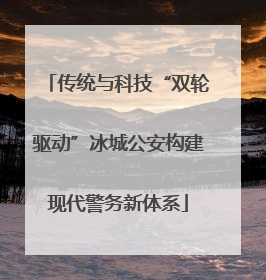 传统与科技“双轮驱动”冰城公安构建现代警务新体系