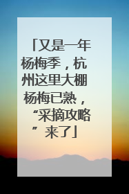 又是一年杨梅季，杭州这里大棚杨梅已熟，“采摘攻略”来了