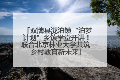 双牌县泷泊镇“泊梦计划”乡镇学堂开讲！联合北京林业大学共筑乡村教育新未来