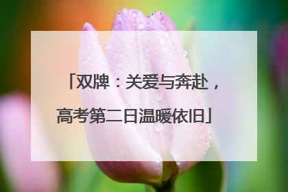 双牌：关爱与奔赴，高考第二日温暖依旧