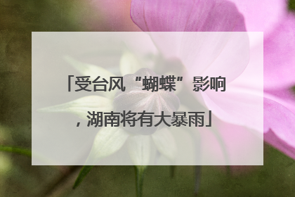 受台风“蝴蝶”影响，湖南将有大暴雨