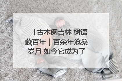 古木阅吉林 树语藏百年｜百余年沧桑岁月 如今它成为了“镇园之宝”