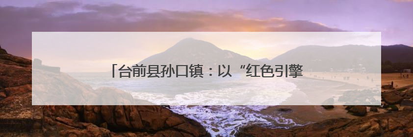 台前县孙口镇：以“红色引擎”驱动乡村建设“绿色发展”