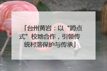 台州黄岩：以“蹲点式”校地合作，引领传统村落保护与传承