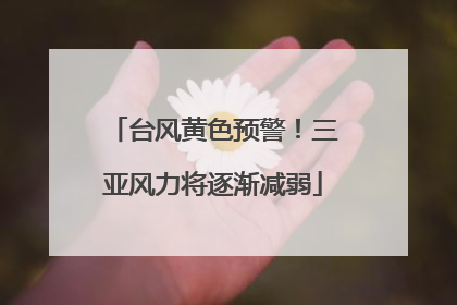 台风黄色预警！三亚风力将逐渐减弱