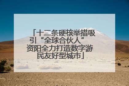 十二条硬核举措吸引“全球合伙人” 资阳全力打造数字游民友好型城市