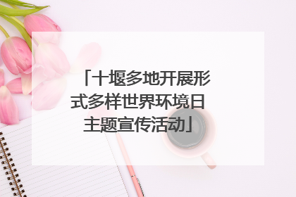 十堰多地开展形式多样世界环境日主题宣传活动