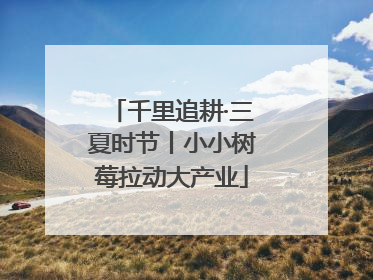 千里追耕·三夏时节丨小小树莓拉动大产业