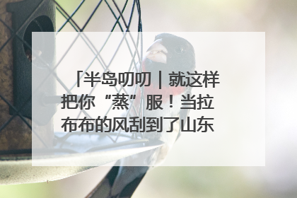 半岛叨叨｜就这样把你“蒸”服！当拉布布的风刮到了山东馒头界……