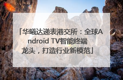 华曦达递表港交所：全球Android TV智能终端龙头，打造行业新模范
