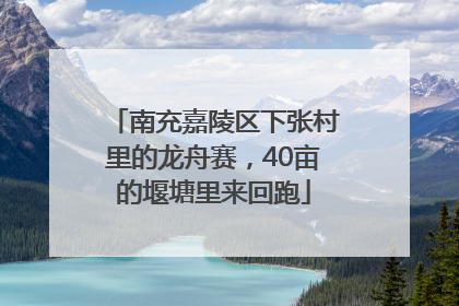 南充嘉陵区下张村里的龙舟赛，40亩的堰塘里来回跑